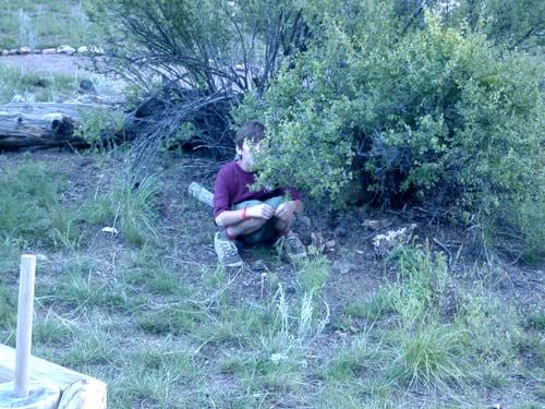 Tyler had hid behind a bush and waited for an intruder to pass by.